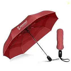 Cockatoo Rain-Guard Automatic Umbrella With 8 Ribs, Material- Polypone