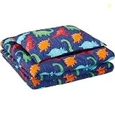 AmazonBasics Kid's Comforter Set - Soft, Easy-Wash Microfiber - Twin,