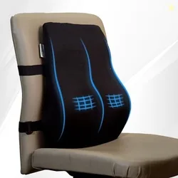 WELLGIVER Memory Foam Lumbar Support Pillow for Office Chair & Car Sea