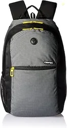 Basic 19 Ltrs Classic Grey Casual Standard Backpack (Bkpecono10412)